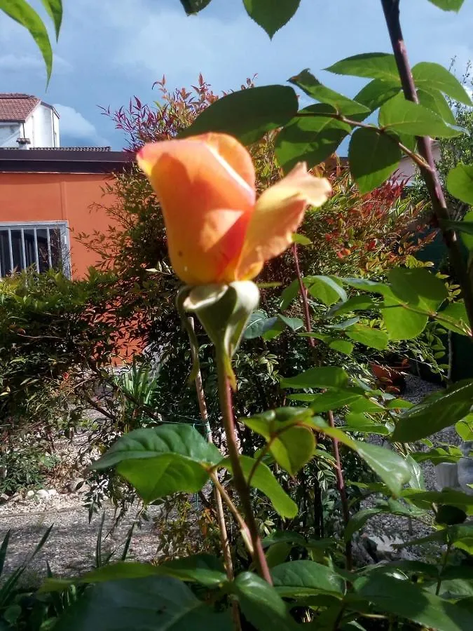 Bed & Breakfast B&B Antica Corte Lombarda Mortara